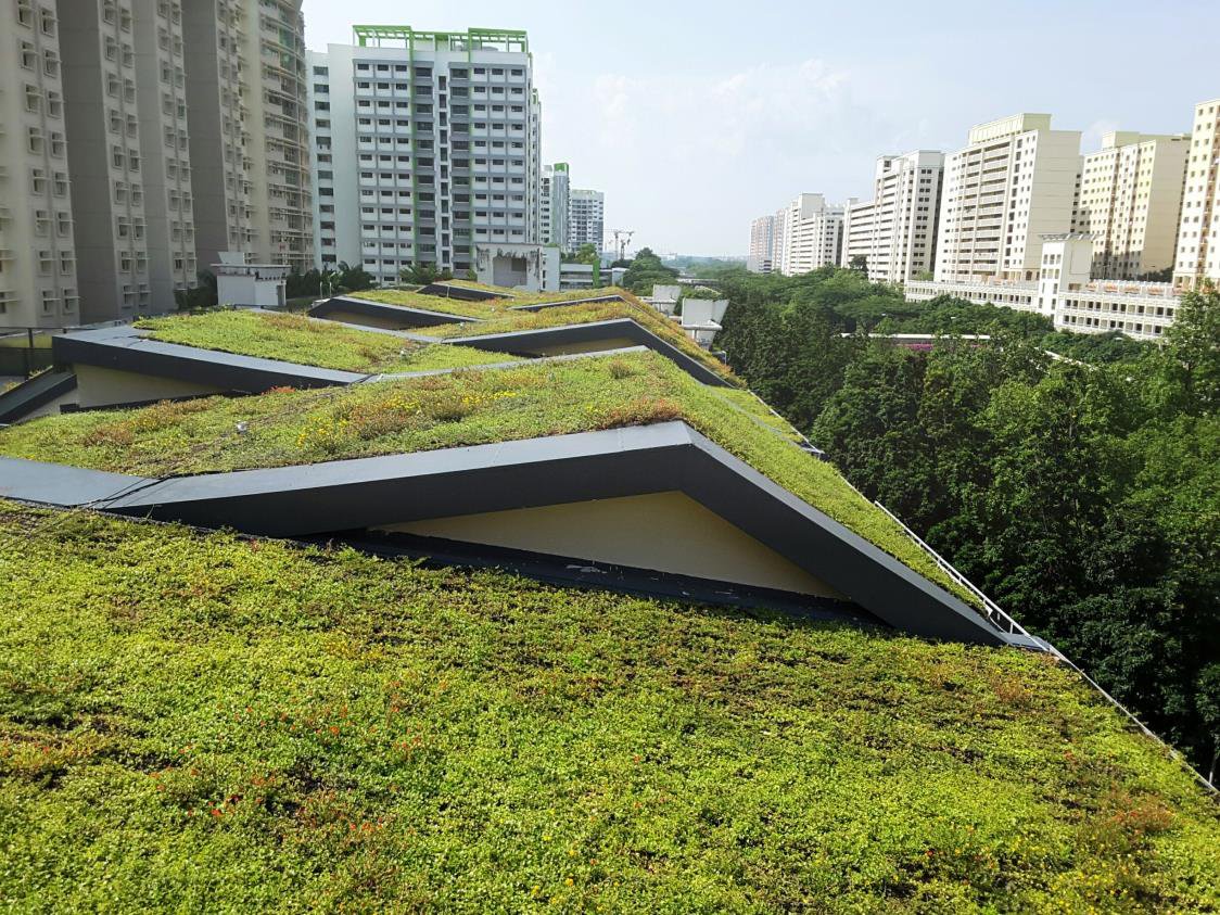 如何让立体绿化景观实现可持续性的生态效果