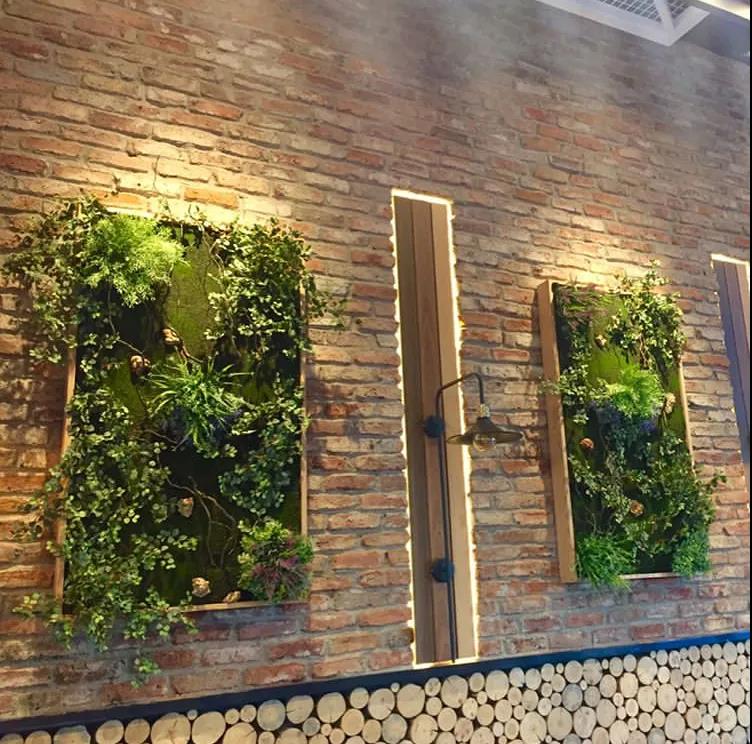 室内办公环境场所各区域如何配置生态植物景墙