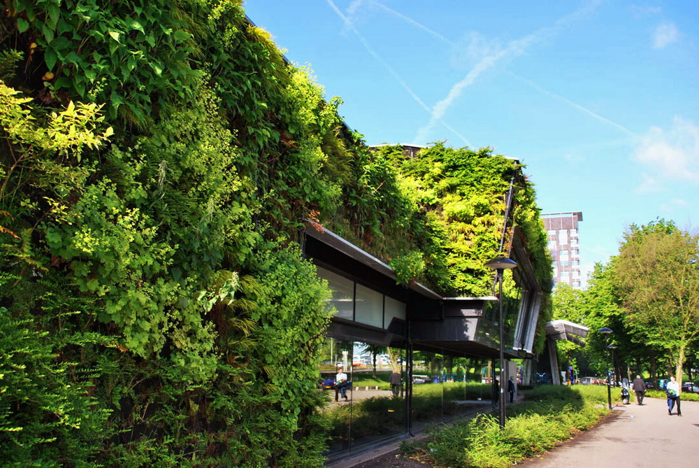 差异化立体绿化为城市空间带来更好的生态效应