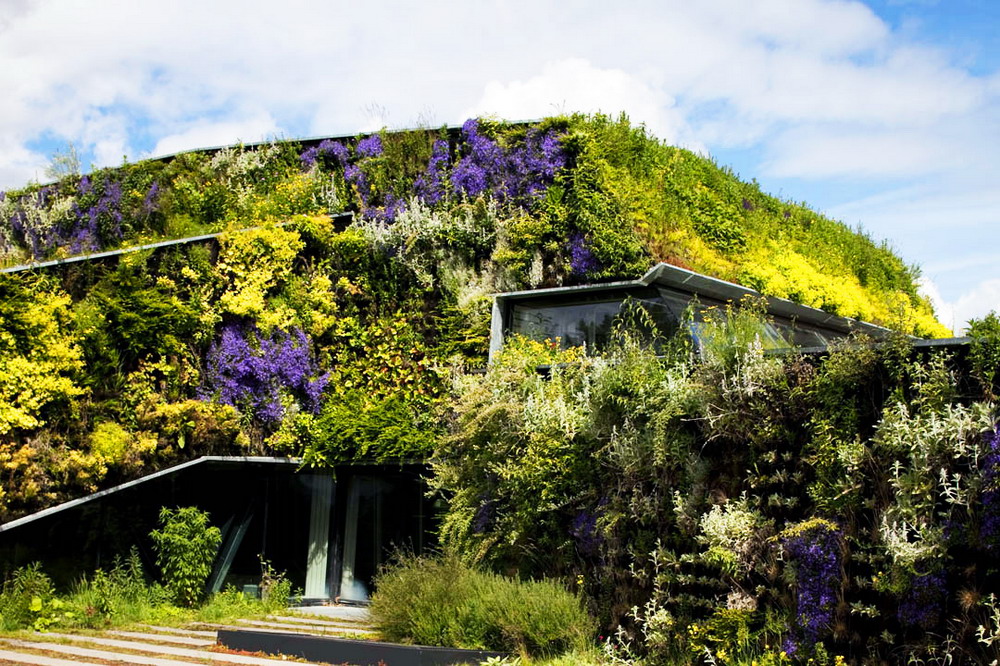 立体绿化墙是连贯城市生态自然景观的重要举措