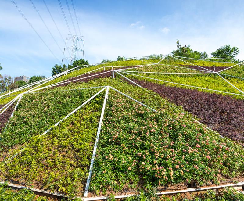 低碳园区楼屋顶平台花园提升建筑多重生态效应