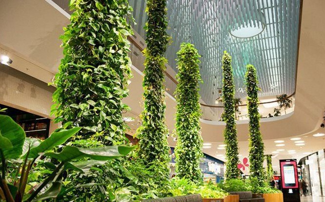 购物中心立体景观植物柱提升商场生态绿植空间