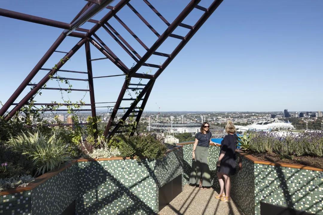 建筑屋顶垂直绿化应用构件多场景交流休闲空间