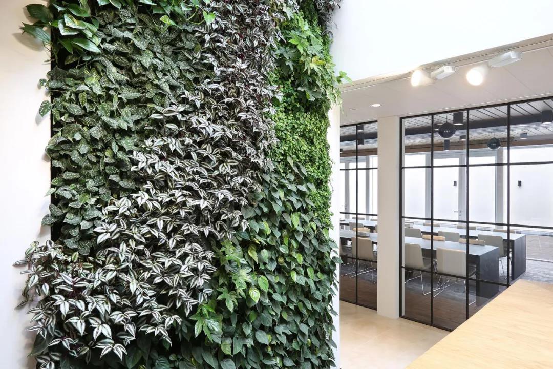 室内装饰设计选择绿植墙天然氧吧颜值高更环保