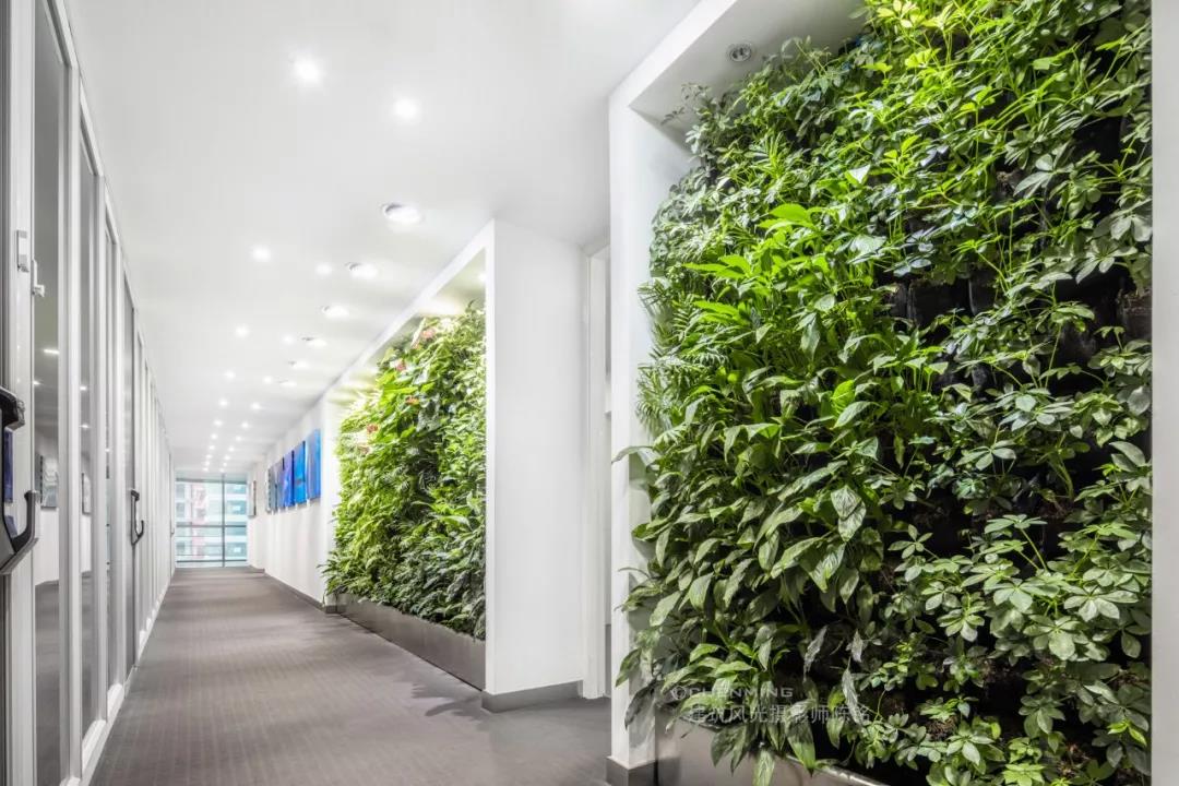 室内不同构筑物绿化植墙设计丰富空间生态体验