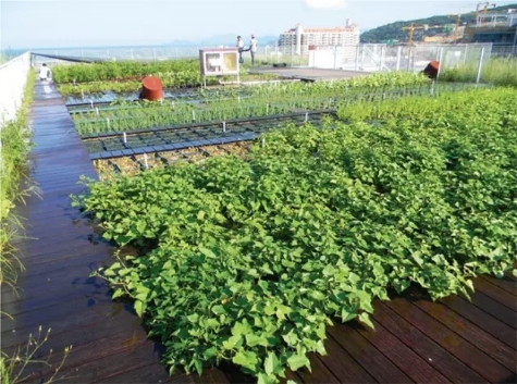 垂直农业与花园环境结合让城市空间生态更多样