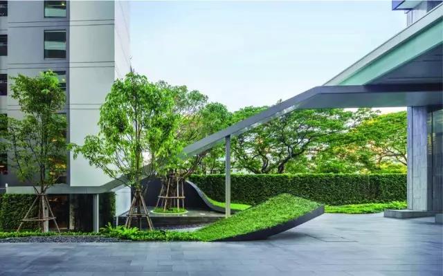 垂直绿化对构筑物硬景装饰具有不可替代的作用