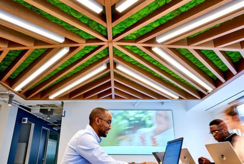 定制永生苔藓吊顶如何让室内空间更加引人注目