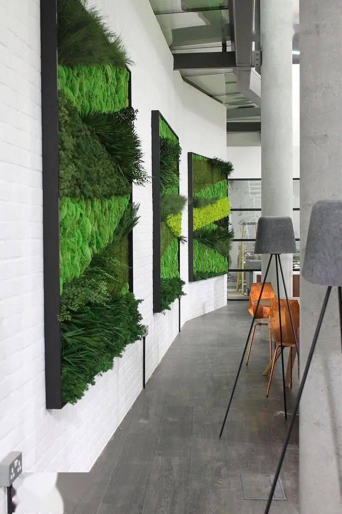 室内独特的植物艺术景观-永生苔藓主题森林墙