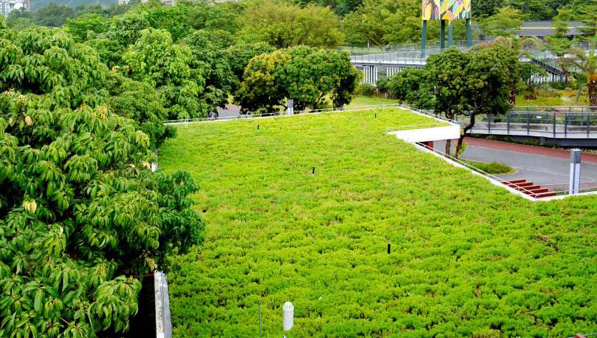 生态屋面绿化屋顶种植花园型农场施工工艺步骤