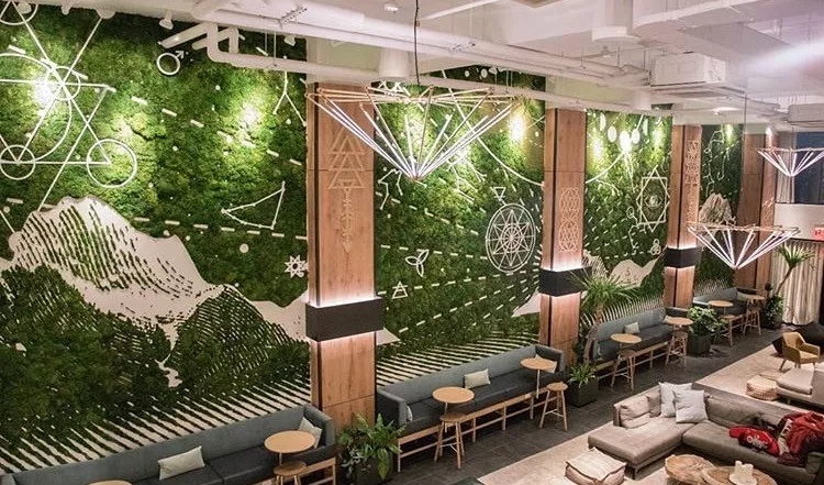 彩绘植物绿墙丰富提升室内装饰空间的主题景观