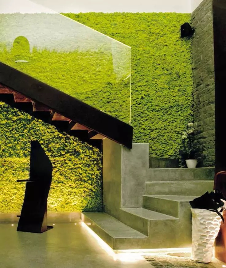 室内垂直绿化的独特元素苔藓艺术造景