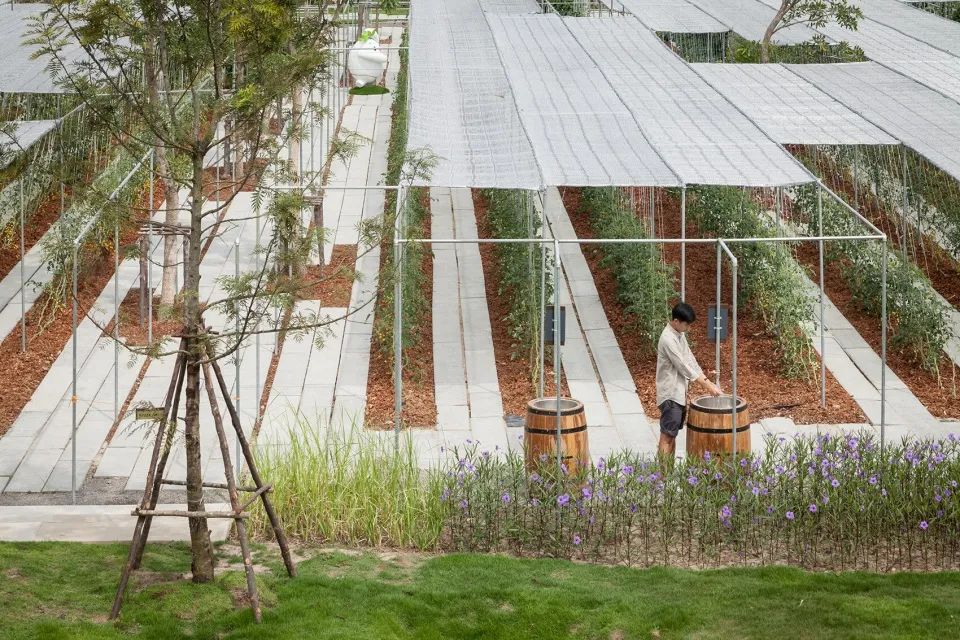 建筑空间如何打造丰富植物景观群落的立体绿化
