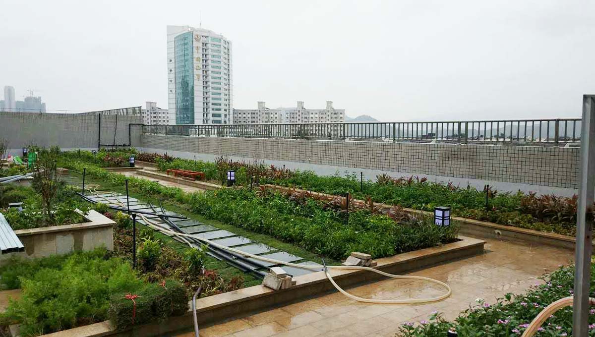 百花小学屋顶花园