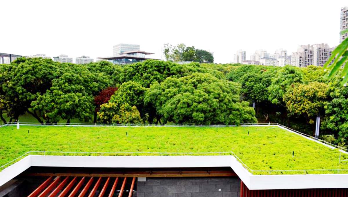 草坪式屋顶绿化、组含式屋顶绿化、花园式顶绿化的主要区别是什么？