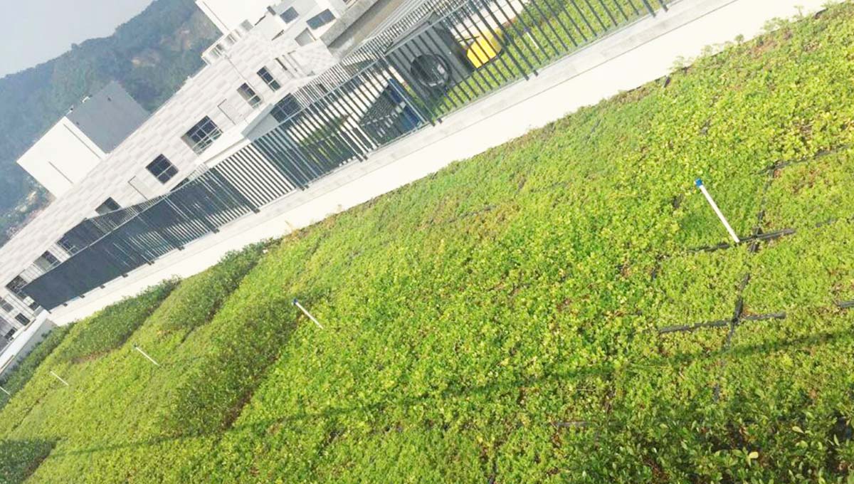 广州万科云模块式屋顶绿化