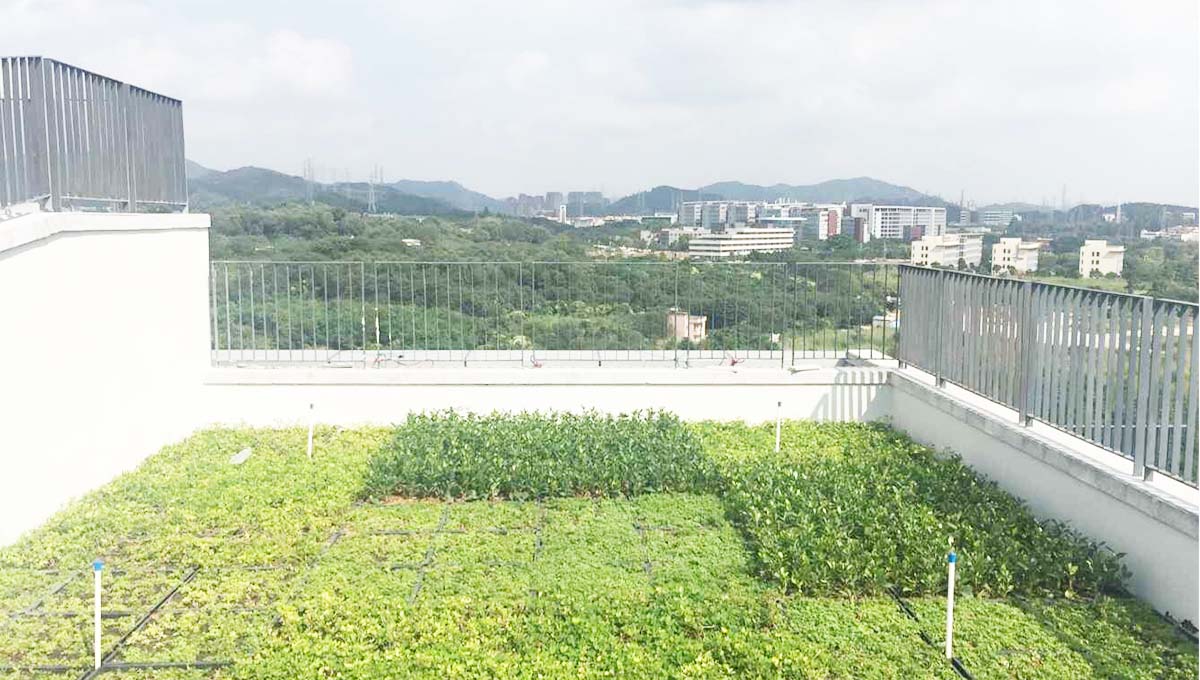 广州万科云容器式屋顶绿化