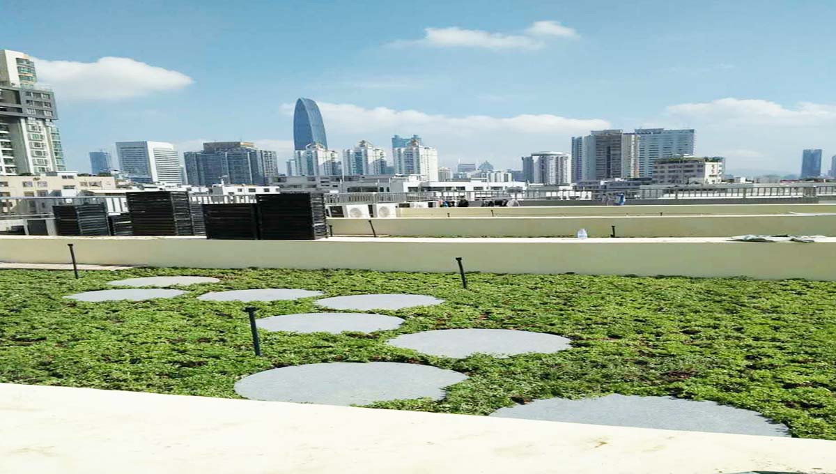 建筑屋顶绿化的实施将为城市提供巨量生态空间