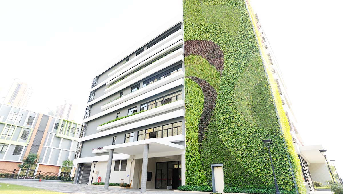 佛禅医院外墙垂直绿化