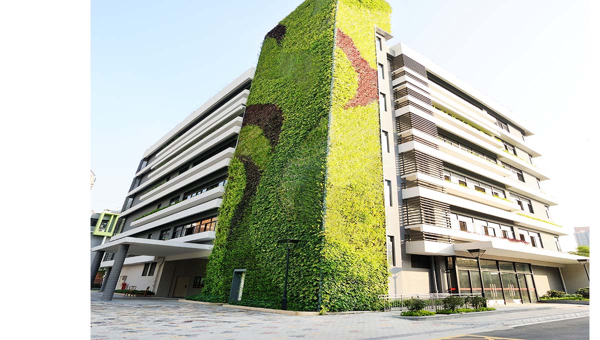 佛禅医院外墙垂直绿化