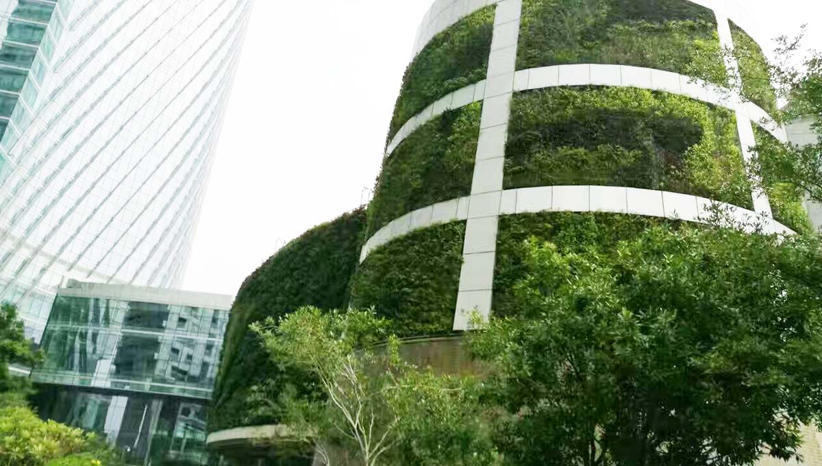 华侨城大酒店垂直绿化