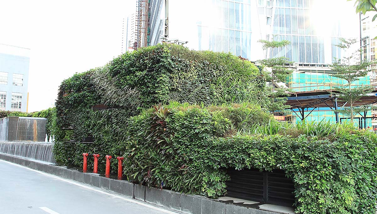 广州银行室外立体绿化