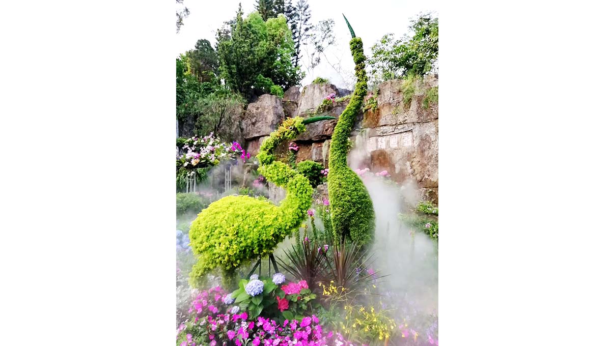 仙湖植物园立体绿化绿雕