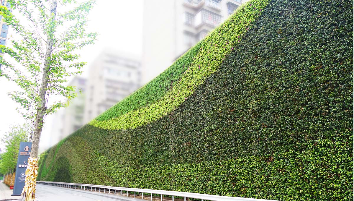 绿色围挡垂直绿化景观示范构建城市环境新生态