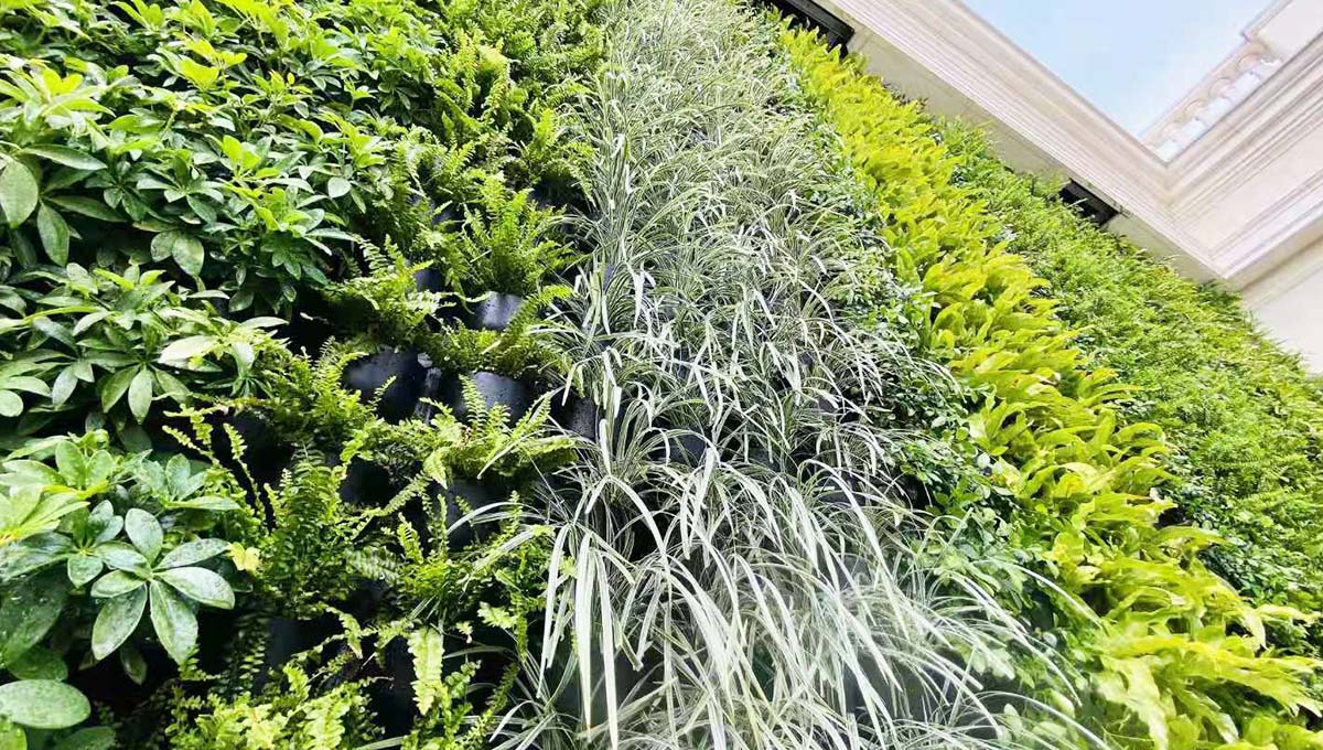 优化种植品类更有利形成错落优质的花园型空间