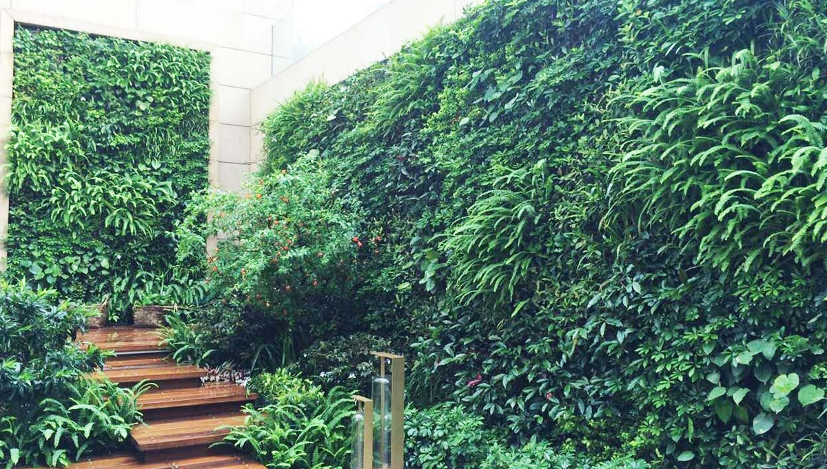 植物墙室内背景墙绿植工程装饰微景观永生苔藓主题墙工程公司