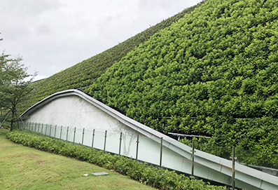 植物检查和维护