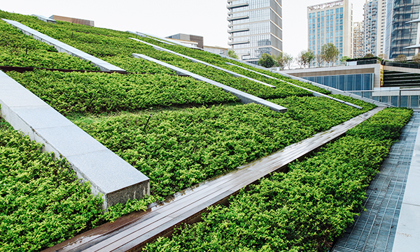 旧改建筑的屋顶立面可以采用立体绿化墙景观吗