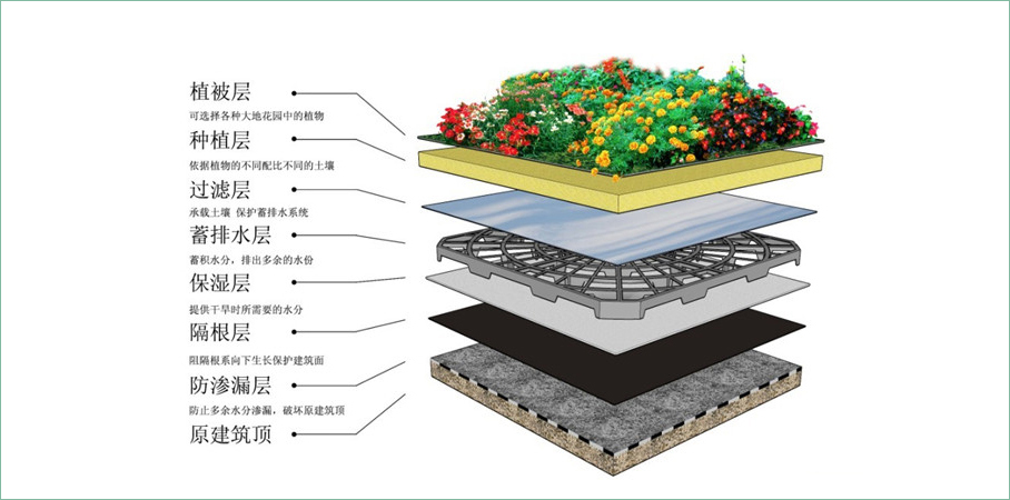 屋顶绿化构造层